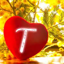 stylish t letter images